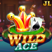 Wild Ace on Crazywin